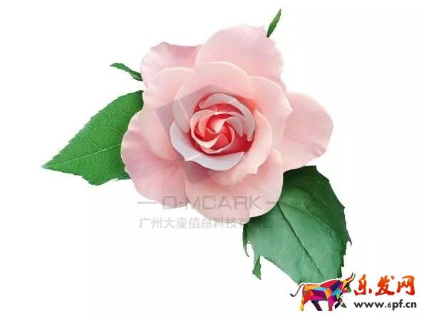 38天貓女王節(jié)